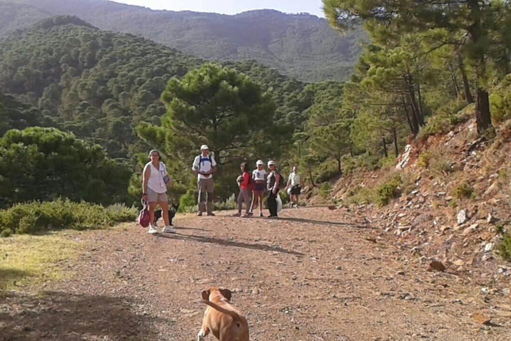 Playa Escollera Leilighet Estepona Eksteriør bilde